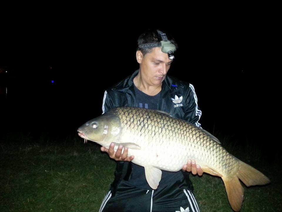 Moara Vlasiei 2 25 - 26 august 2015 - 119025539641695836220464318286131399000746n.jpg